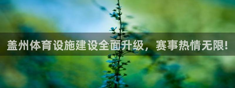 意昂体育4平台假的吗是真的吗吗：盖州体育设施建设全面升级，赛