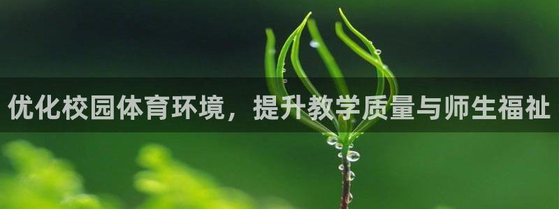 意昂体育4平台是正规平台吗安全吗：优化校园体育环境，提升教学